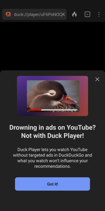 new advert advisory in duckduck about avoiding ads in YouTube and recommending DuckDuckPlayer as an alternative viewing platform

(I recommend DuckDuckPlayer as an alternative!)
