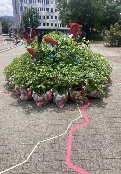 Kartoffeln in bunten Säcken, dazwischen Besen mit roten Borsten.