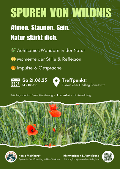 Plakat zur Veranstaltung „Spuren von Wildnis“ am 21. Juni 2025. Der Hintergrund ist grün mit einer stilisierten Höhenlinien-Karte. Oben steht in großer Schrift: „SPUREN VON WILDNIS – Atmen. Staunen. Sein. Natur stärkt dich.“ Darunter werden drei Schwerpunkte genannt, jeweils mit Symbol: Achtsames Wandern (Zweig), Momente der Stille und Reflexion (zwei erhobene Hände), Impulse und Gespräche (Flamme).

Datum und Uhrzeit sind angegeben als „Sa 21.06.25, 14–18 Uhr“ mit einem Kalendersymbol. Treffpunkt ist der „Eiszeitliche Findling Bannewitz“, markiert durch ein Orts-Pin-Symbol.

Ein Hinweis darunter: „Frühlingsspecial: Diese Wanderung ist kostenfrei – mit Anmeldung.“

Am unteren Rand ist ein breites Foto von rotem Klatschmohn in einem grünen Getreidefeld eingefügt. Darunter stehen Kontaktinformationen: „Hanjo Meinhardt – Systemisches Coaching in Wald & Natur“ und „Informationen & Anmeldung: https://l.hanjo-meinhardt.de/svw. Daneben ein QR-Code.