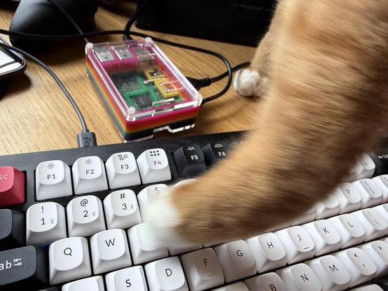 A Pi2 in a rainbow case and a mechanical keyboard - with a ginger paw about to tread on a key
