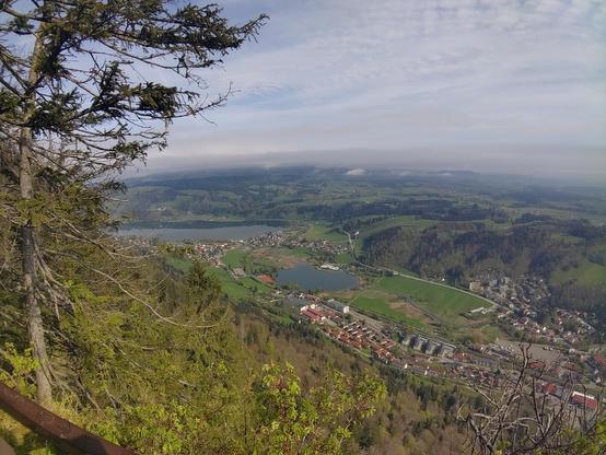 Foto mit Blick von der Kanzel. Von Links oben nach rechts unten sind grüne Baumspitzen zu sehen und dahinter der blaue Alpsee. Rechts unten die Ausläufer von Immenstadt und über dem Horizont eine gräuliche Wolkendecke.

Photo taken from Kanzel. Green treetops cover the image from top left to bottom right and the blue Alpsee can be seen behind them. The outer parts of Immenstadt can be seen in the bottom right and above the horizon a greyish cloud covered sky.
