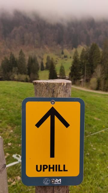 Foto einer grünen Wiese und Berg mit Nadelbäumen im Hintergrund. Im Vordergrund ein orange farbenes Schild auf dem ein Pfeil senkrecht nach oben zeigt und unter dem Uphill zu lesen ist.

Photo of a green meadow with mountain and needle trees in the background. An orange sign is in the foreground which shows an arrow pointing straight upwards and below is written uphill.