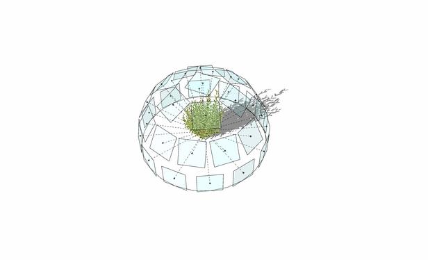 image of a bush surrounded in a hemisphere of a series of squares representing camera views, separated by 30 degrees, with a construction line showing the angle of the camera views focused on the center of the bush.