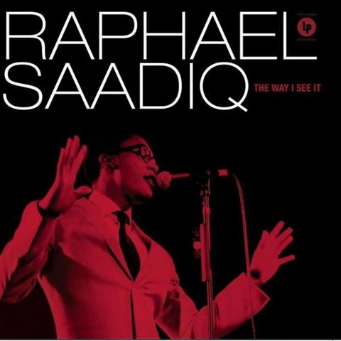 Cover: Raphael Saadiq - Never Give You Up