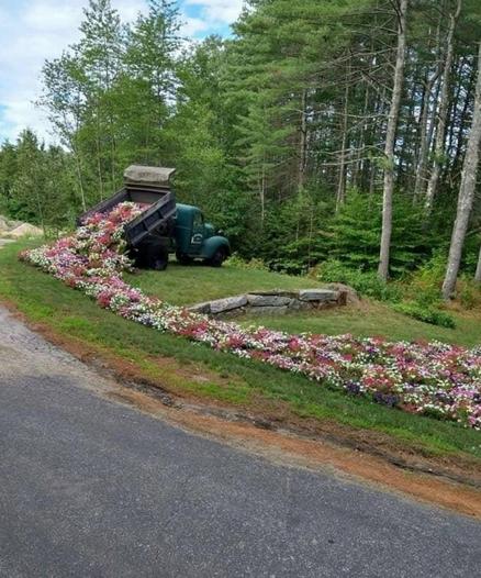 The image displays a unique use of a dump truck where instead of hauling construction materials, it's filled with flowers, creating a colorful and whimsical display.