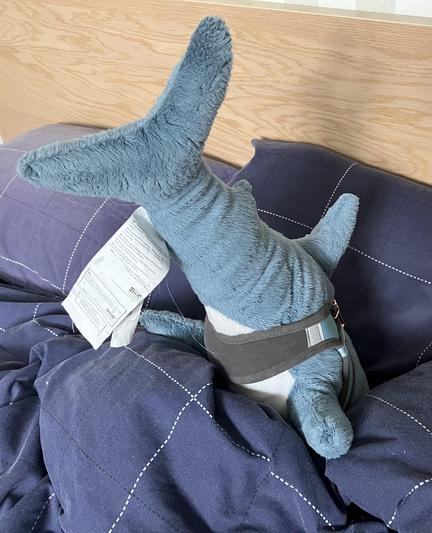 A Blåhaj cuddly shark that has faceplanted into a bed.