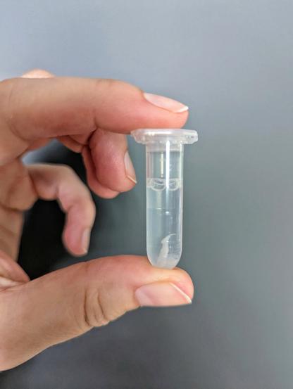 A hand holds a small, clear Eppendorf tube, typically used in laboratory settings. The tube contains a clear liquid, with a small amount of white, solid material settled at the very bottom and a few air bubbles visible near the top of the liquid. The background is a plain, dark grey, putting the focus entirely on the tube and its contents.