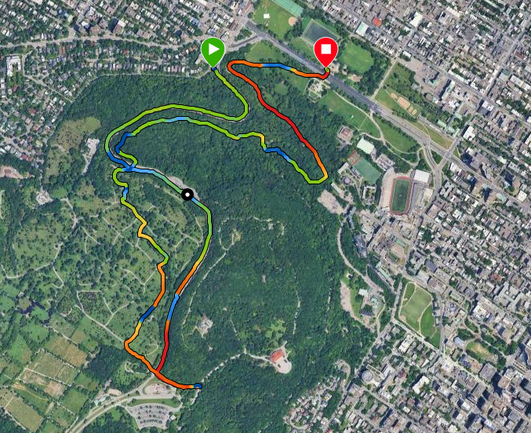Vue aérienne du mont Royal (Garmin Connect). Le trajet monte par la voie Camillien Houde, coupe par le cimetière puis redescend par les sentiers du mont Royal.
