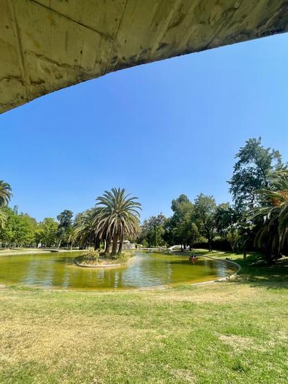 A view from the park with a lake and blue skies