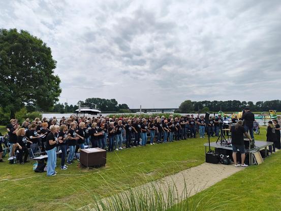 Eine Wiese in einem Beachclub. Auf der Wiese stehen ca. 170 Chorsängerinnen und Sänger aus den verschiedensten Rockchören60+. Geleitet wird das Event von Dieter Falk