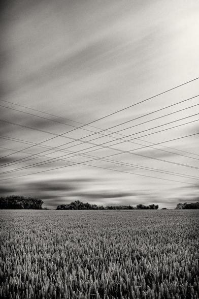 A monochromatic, wide-angle shot of a vast field of crops, likely wheat, stretching towards a distant horizon. The individual stalks are visible, creating a textured foreground. Above, numerous power lines crisscross the frame, adding geometric lines against the sky. The sky itself is dramatic, filled with streaky, blurred clouds, suggesting a long exposure or fast-moving weather, and creating a sense of movement. A dark, low line of trees marks the transition between the field and the sky in the midground. The overall mood is stark and atmospheric.