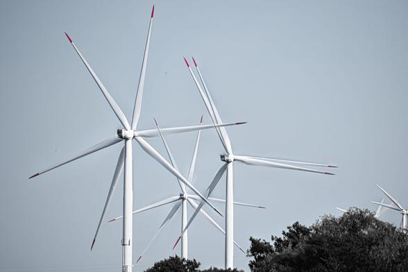 Mehrere weiße Windkraftanlagen stehen auf einem Hintergrund mit grauem Himmel und dunkelgrünen Bäumen im Vordergrund. Die Anlagen sind in verschiedenen Positionen im Bild zu sehen und zeigen die Rotoren, die sich durch den Wind drehen. Die Rotoren sind weiß und haben rote Markierungen an den Spitzen. Sowohl Rotorblätter als auch der Korpus erscheinen dupliziert wie durch Focus Stacking oder Mehrfachbelichtung.

Der Fokus liegt auf den Details der Windkraftanlagen, insbesondere auf den Flügeln und ihrer Anordnung. Der Himmel ist hellgrau und unauffällig. Die Bäume bilden einen dunklen Kontrast zum hellen Weiß der Windkraftanlagen. Das Bild ist neutral und konzentriert sich auf die technische Struktur der Windräder. Die Perspektive ist von etwas Abstand und zeigt die Größe der Anlagen.