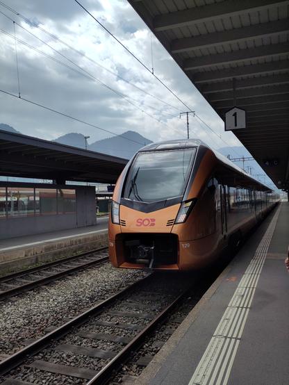 Foto. Ein kupferfarbener Zug im Bahnhof.
