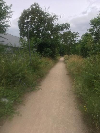 Une voie verte en gravillons « stabilisé » perdu entre la rocade et des hangars Airbus. De chaque côté, elle est bordée d’une mini-jungle urbaine de type « Ah bon, ça s’entretient ? »