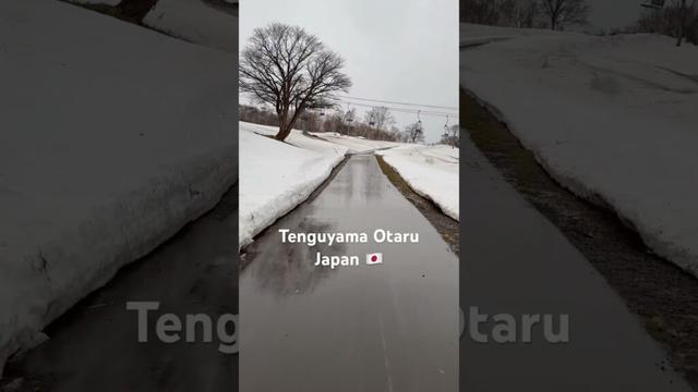 Tenguyama Otaru Japan #travel #trending #japan #nature #snow