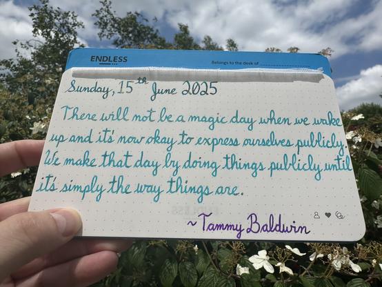 A pen quote of Tammy Baldwin that reads, “There will not be a magic day when we wake up and it’s now okay to express ourselves publicly.  We make that day by doing things publicly until it's simply the way things are.”

Written using Jacques Herbin inks: Emerauld de Chivor & Turquoise de Perse, along with Waterman Tender Purple.