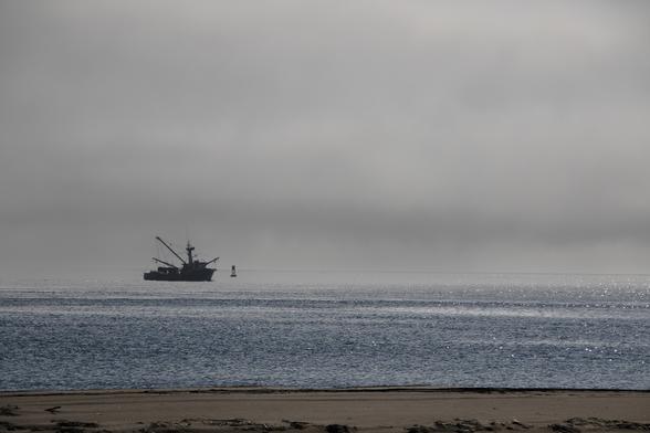 A photograph of a fishing boat out on the water. It is next to a buoy and silhouetted by the fog bank behind it. In front of it the water glitters in the sun. At the very bottom of the photo is a sandy beach.