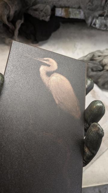 Photo of a small copper plate held in hand, previously inked and wiped, engraved with the image of a white heron-like bird perched on a branch.
