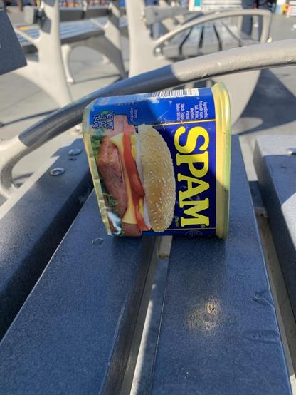 A can of Spam is placed horizontally on a metallic gray bench. The label on the can prominently features the Spam logo and an image of a sandwich. The background shows blurred outdoor gym equipment under clear skies.