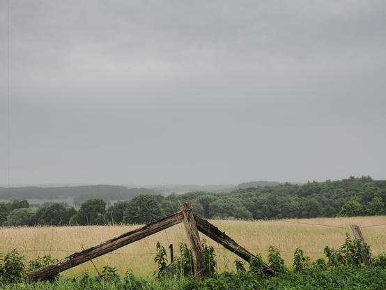 Overcast sky above a rural landscape with rolling hills in the distance. In the foreground, a wooden fence with a slanted, weathered post, surrounded by green grass and weeds. The background features fields of tall, golden grass and a line of dense, green trees.