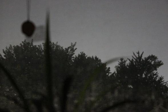 Long exposure of night sky outside of window and treeline.