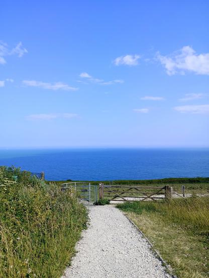 Chalk man made path in centre, on a cliff. Sea in distance. Blue sky. Grass, plants, gate around foreground path