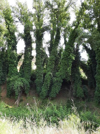 camino walk to Cascada de los Molinos