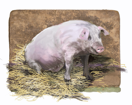 Zeichnung: Ein Schwein liegt in dreckigem Stroh. Im Hintergrund eine braune, fleckige  Wand.