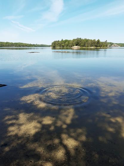 Blick auf einen See mit einer bewaldeten Insel. Vom flachen, sandigen Ufer aus sieht man man viele kringelige kleine Wellen, die von einem Stein, ins Wasser geworfen, ausgingen.
Das Wasser spiegelt den blauen Himmel wieder.