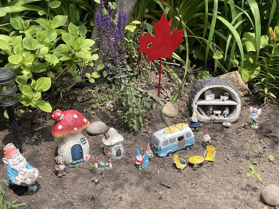 A photo of some very small garden gnome figurines and various gnome accoutrements in a garden with a metal version of Canadaโs Maple Leaf symbol planted firmly in the earth behind them.