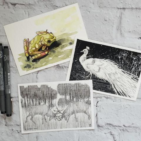 A group of three pen and ink studies of animals, a frog, a white peacock and two stags fighting.
Sold together. All postcard size. 10cm by 14.5cm.
Original art works Sold as a set only
Pen and ink on watercolour paper
10cm by 14.5cm (postcard size).
Sold unframed