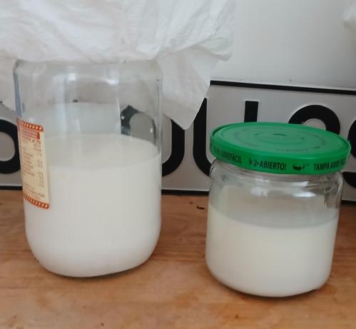 Dos tarros de cristal con leche de kefir