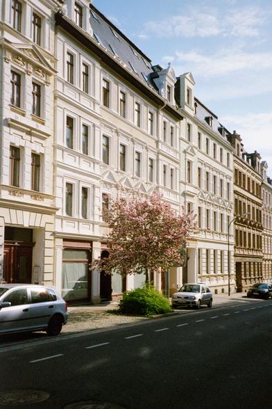 Photo of a row of multi-story-houses with intricate facades, lit from the side by the morning sun. A pink blooming tree grows next to the street.