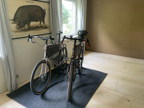 Zwei Fahrräder stehen auf schwarzem Teppich. An der Wand links davon hängt das Bild eines Schweins. Rechts ist eine lehmbraune Wand. Dazwischen fällt Licht durch ein Fenster auf einen hellen Holzboden.