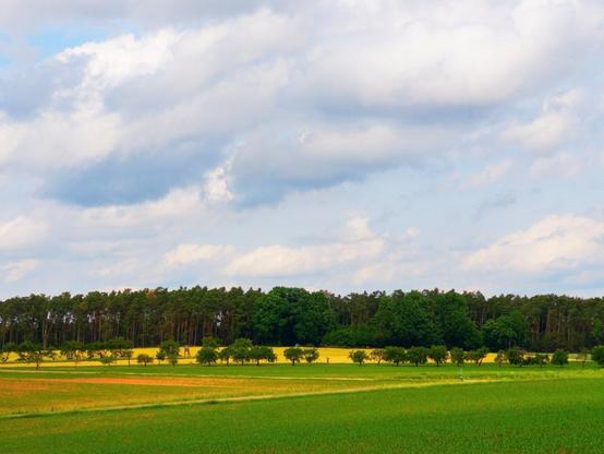 Spring landscape near nürnberg, germany