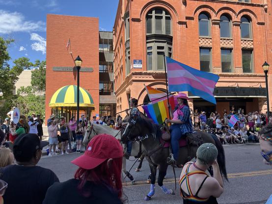 People on horseback on an urban street carry multiple different pride flags. The street is lined with spectators for the pride parade.