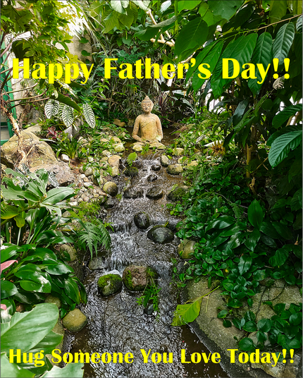 This is a photograph made at the Victoria Butterfly Gardens. The edges of the frame are surrounded by plants, and there's a rocky stream running vertically down the center. At the top there's a small statue of a stone Buddha sitting in quiet contemplation.