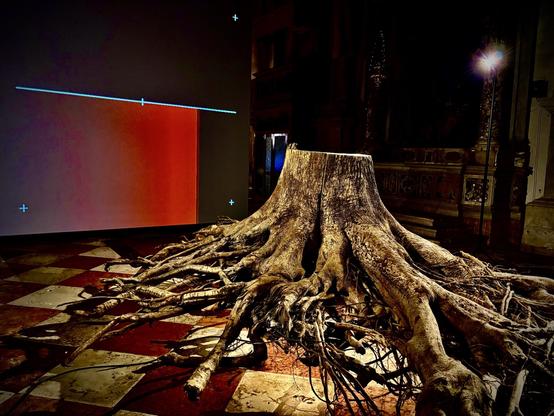 A massive tree stump with sprawling roots lies on a checkered marble floor inside a historic, ornate building. The roots stretch out irregularly, as if gripping the ground. In the background, a minimalist projection of a red rectangle with a thin blue line contrasts with the organic form. The scene is part of the Lithuanian Pavilion at La Biennale, titled Architree-tecture, reflecting on progress, memory, and territory.