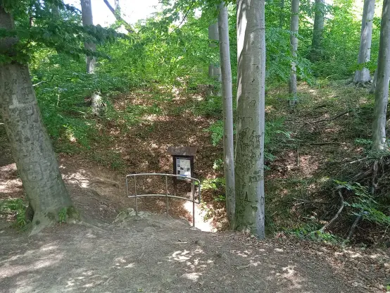 The image depicts a forested area with dense greenery and trees. There is a pathway leading to a structure that appears to be a sign or information board, possibly providing details about the surrounding area or trail. The trees on either side show inscriptions or carvings on their bark. Overall, it looks like a serene nature spot, likely for walking or hiking.

Image Credits: Wikimedia / Szenti Tamás / CC BY-SA 4.0