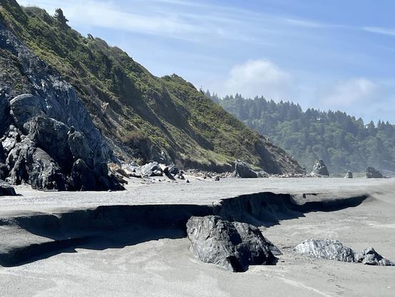 Sediment is being redeposited in the coastal areas of Redwood National and State Parks. This view shows blue skies with a few clouds over the green vegetation on the slopes behind the coastal area. The accumulating sediment that forms the beaches can be seen in the foreground.