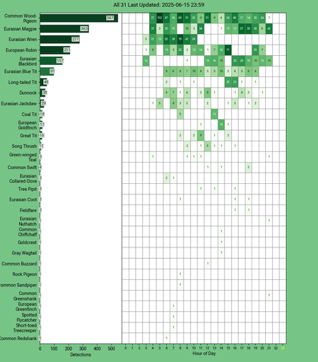 Today's top 20 bird chart