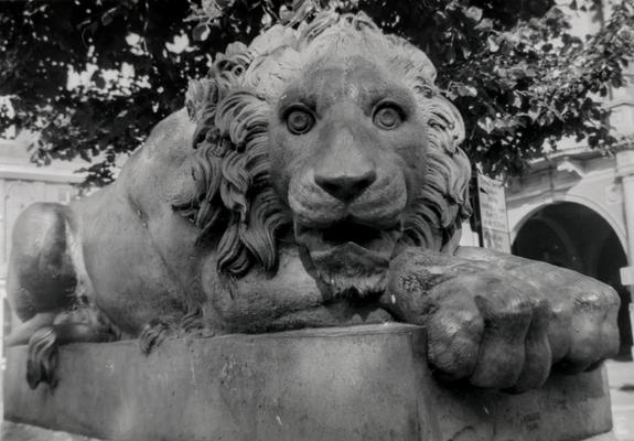A grainy black and white image of stone lion staring straight into the lens