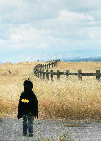 A you boy in a Batman cape stands at the edge of a meadow of yellow a fence runs from the right to the middle