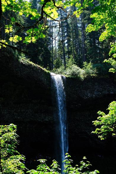 A waterfall cascades down a dark cliff surrounded by lush green trees and foliage.