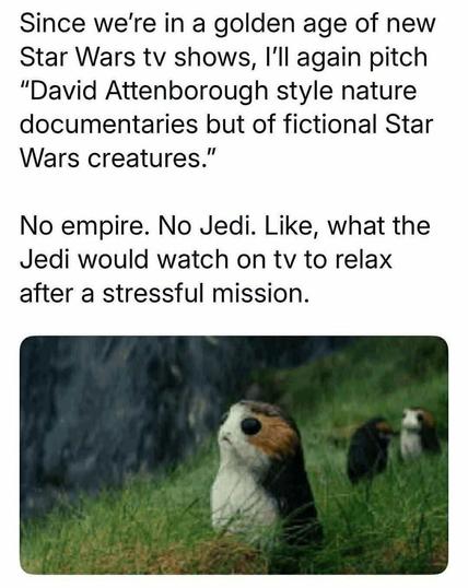 Since we're in a golden age of new Star Wars tv shows, I'll again pitch “David Attenborough style nature documentaries but of fictional Star Wars creatures.” 

No empire. No Jedi. Like, what the Jedi would watch on tv to relax after a stressful mission.