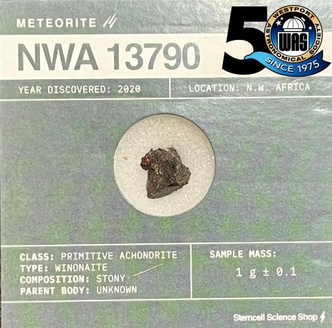 Meteorite NWA 13790 from NW Africa