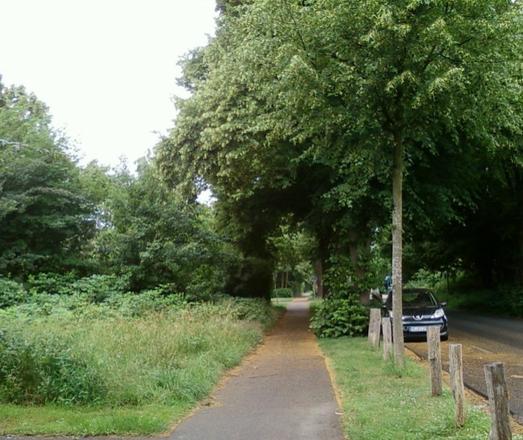 Einen Allee mit Baeumen.