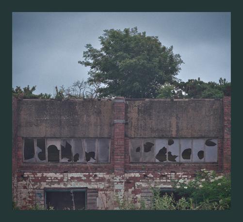 A low building with smashed windows and a tree appearing to grow from the roof. The image is quite gloomy, reflecting the dark overcast sky.