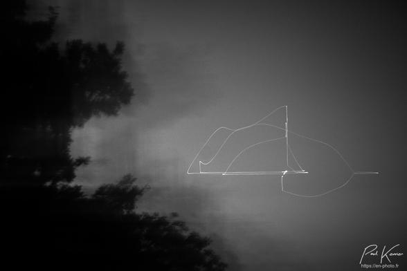 Photo monochrome en noir et blanc captée en fin de nuit sous un ciel clair où seule la planète Vénus est encore visible, un peu à l'écart de la ramure d'arbres située sur le côté gauche du cadrage, l'étoile du berger  étant donc pratiquement au centre du cadrage. 
Pendant la captation des mouvements volontaires, horizontaux et verticaux, ayant été pratiqués, Vénus, bien brillante, a généré une trace de traits verticaux et horizontaux avec des courbes entre chacun d'entre eux, selon le mouvement opéré par le photographe.
De même, on perçoit les différentes captations plus ou moins accentuées, de la silhouette de la ramure des arbres selon les mêmes axes que la trace de Vénus.