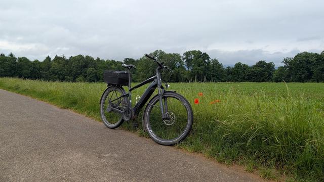 Photo of my eBike on a path next to a field. There are three poppies next to my bike. The hills of the Blauen in the distance are not visible due to low clouds. Everything looks a little wet.